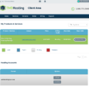 Navigating to the services section shows you all of the TMD services attached to your account. TMD Services Page